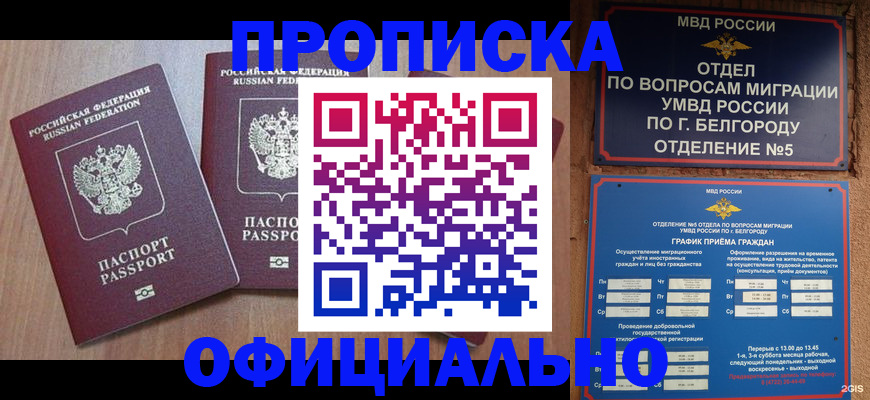 найти адрес прописки в Богородицке
